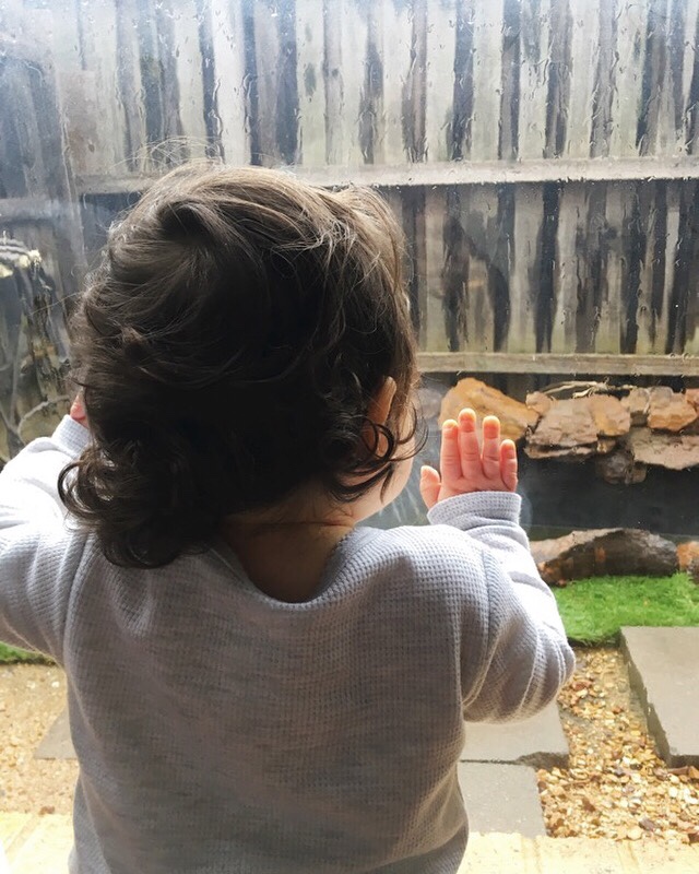 c7af3c07-bf98-455e-8e65-4609cb2902d2