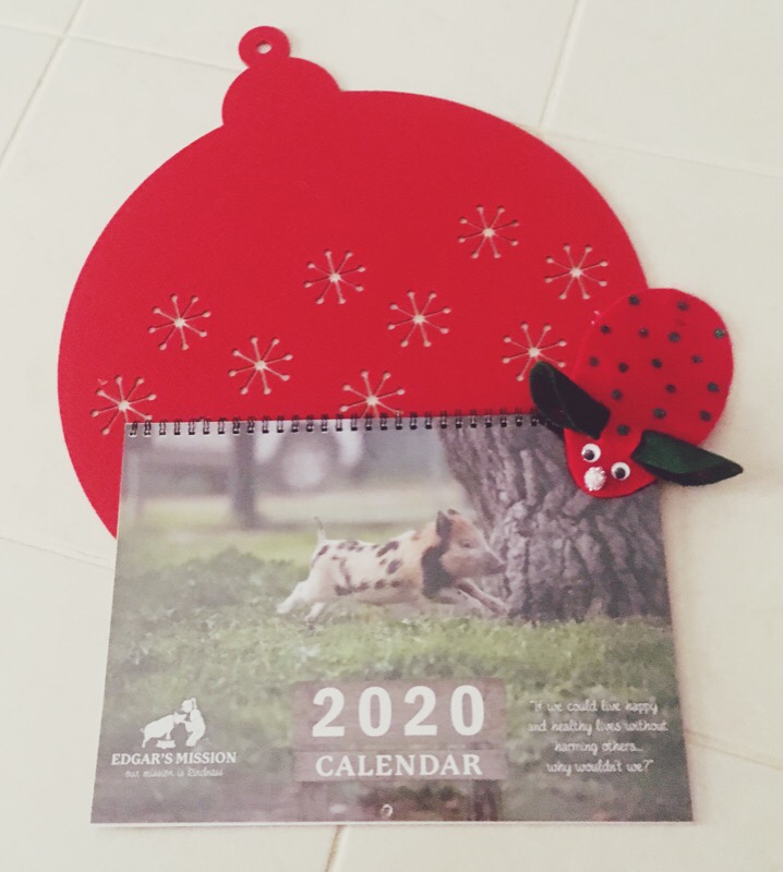 Blogmas – Great Charities To Give To This Christmas!