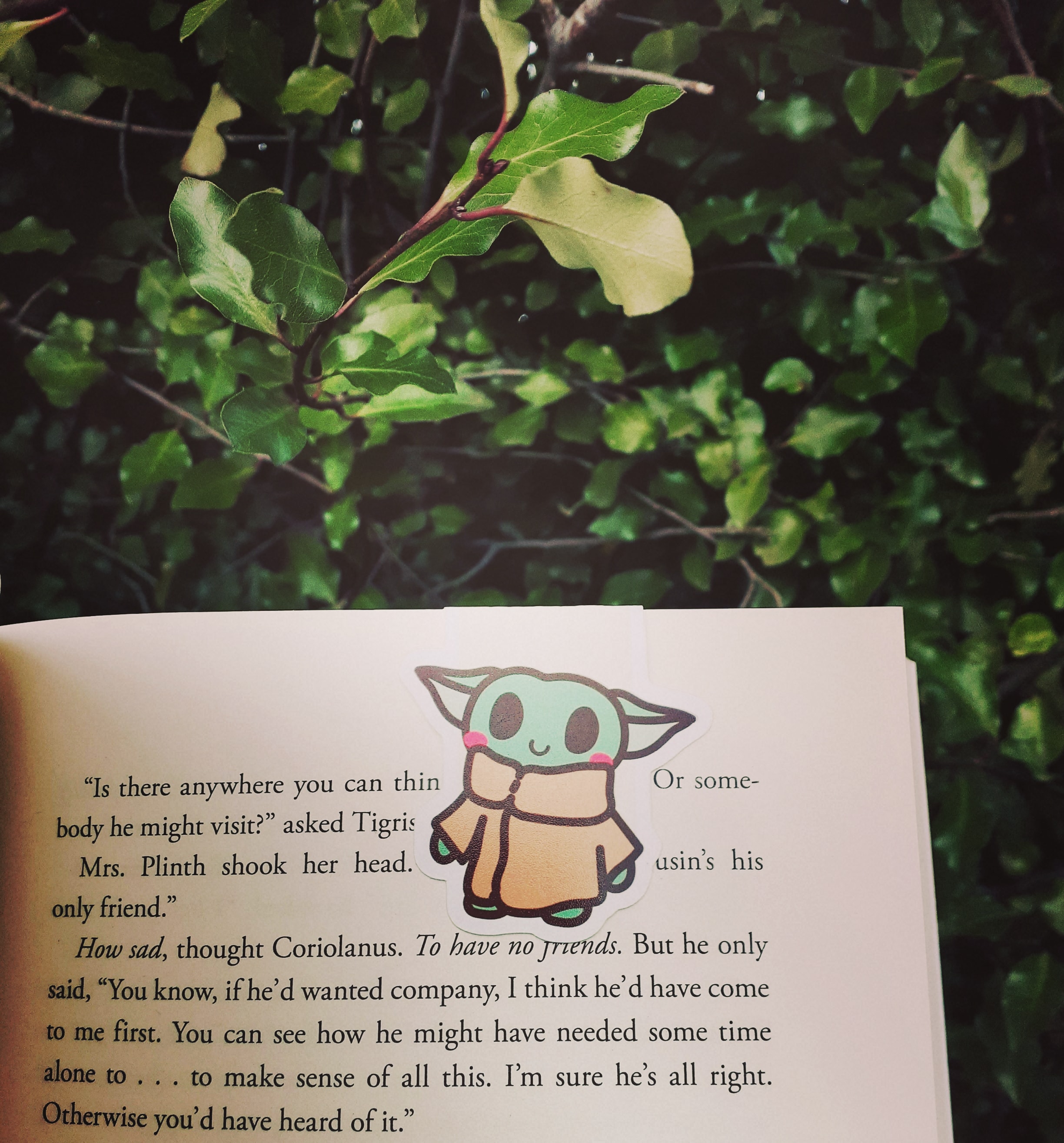 Sharing Some Of My Poetry