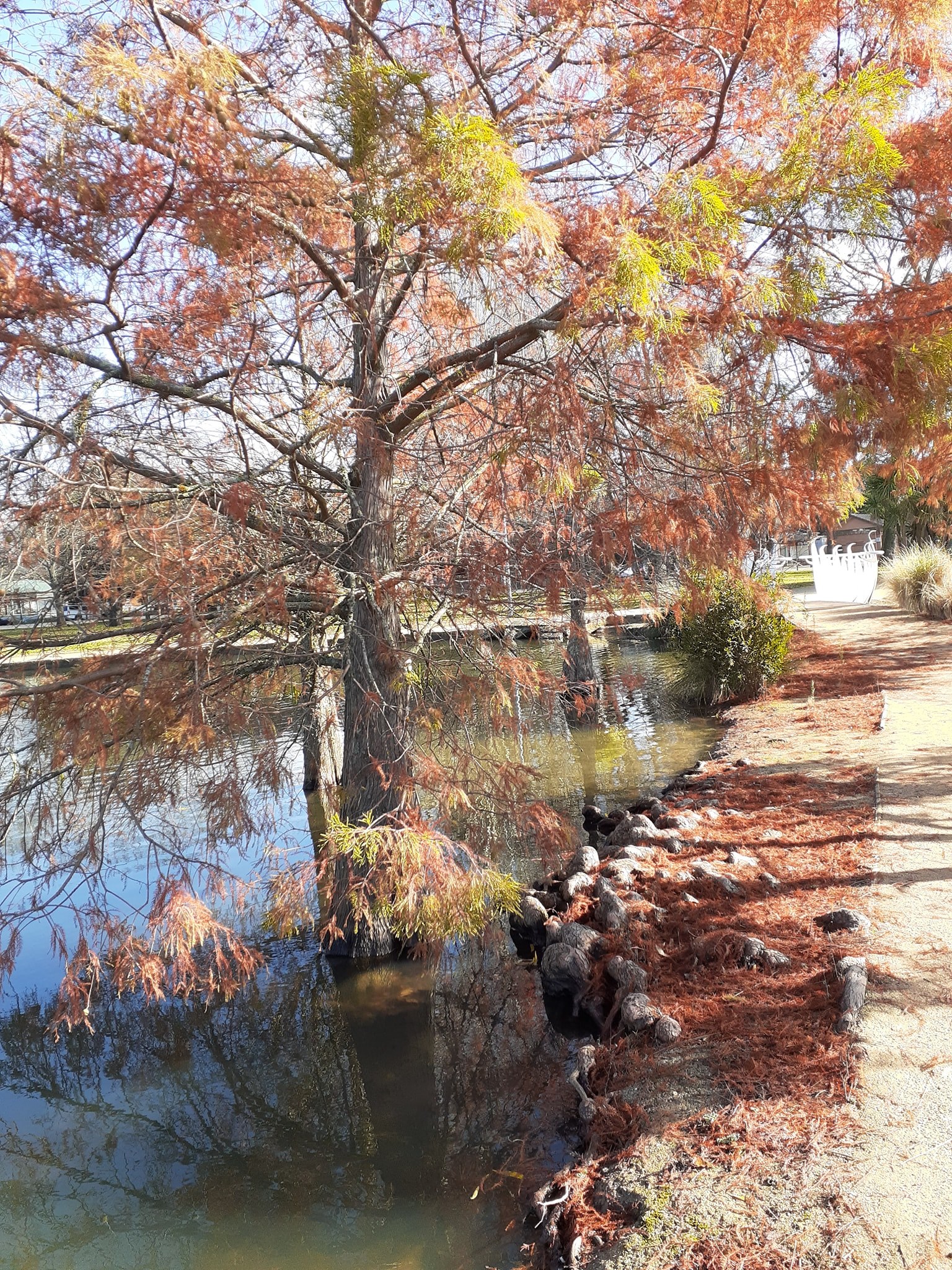 102901933_2738140809762236_7546798193693284505_o