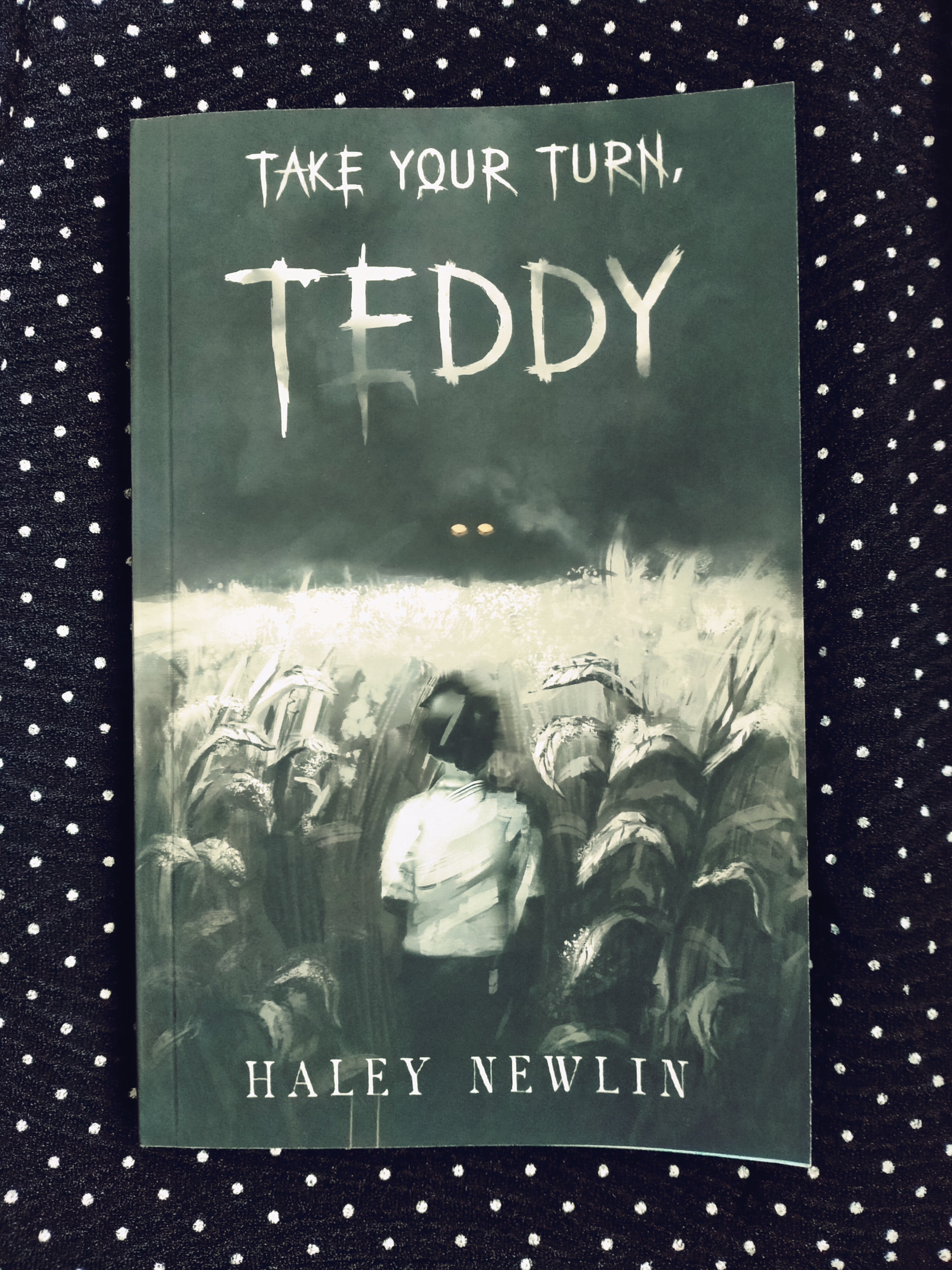 ‘Take Your Turn, Teddy’ by Haley Newlin – (Spoiler-Free) New Release Book Review!