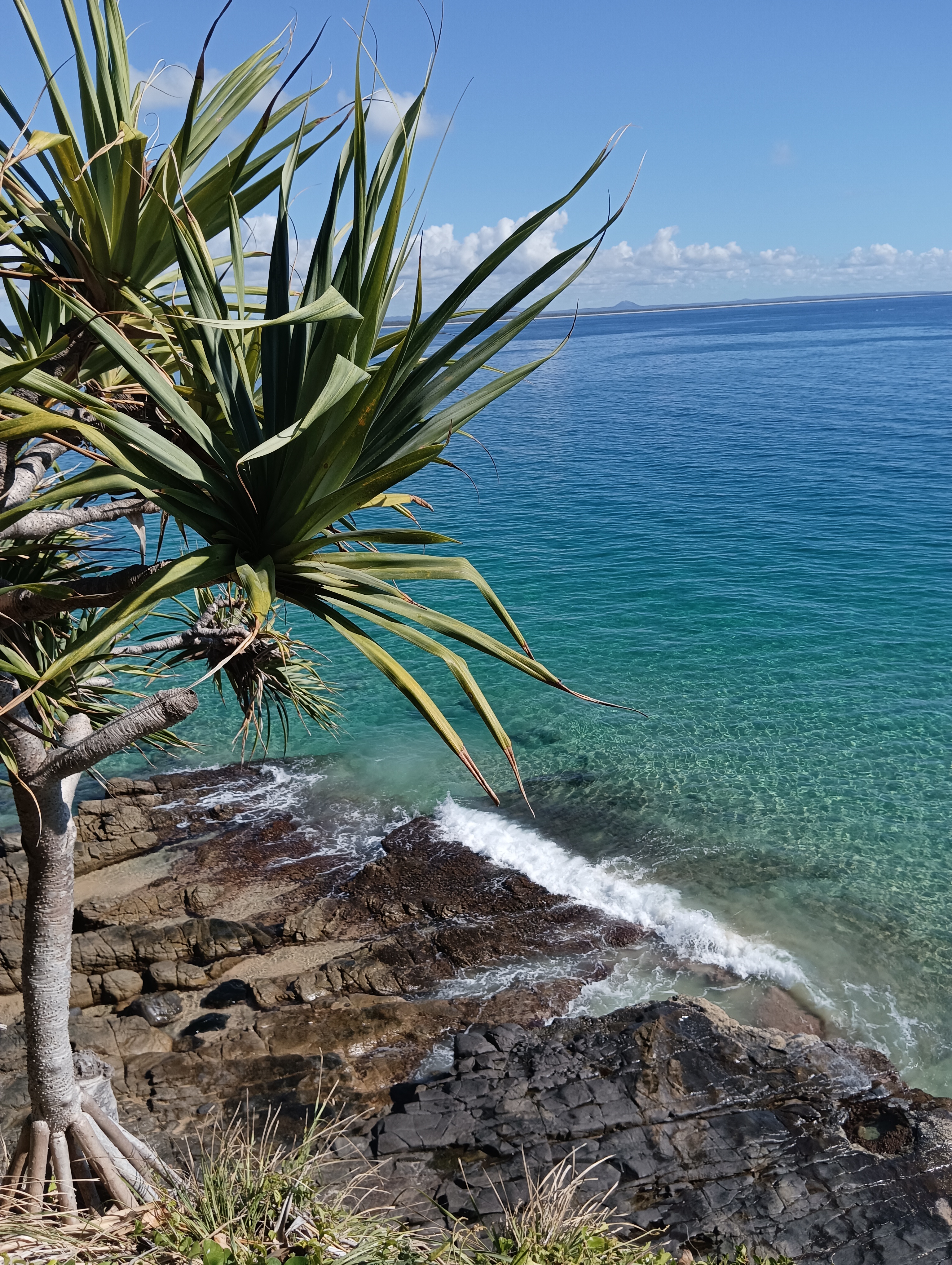 Getaway To Noosa – Vegan Eats + Photo Diary!