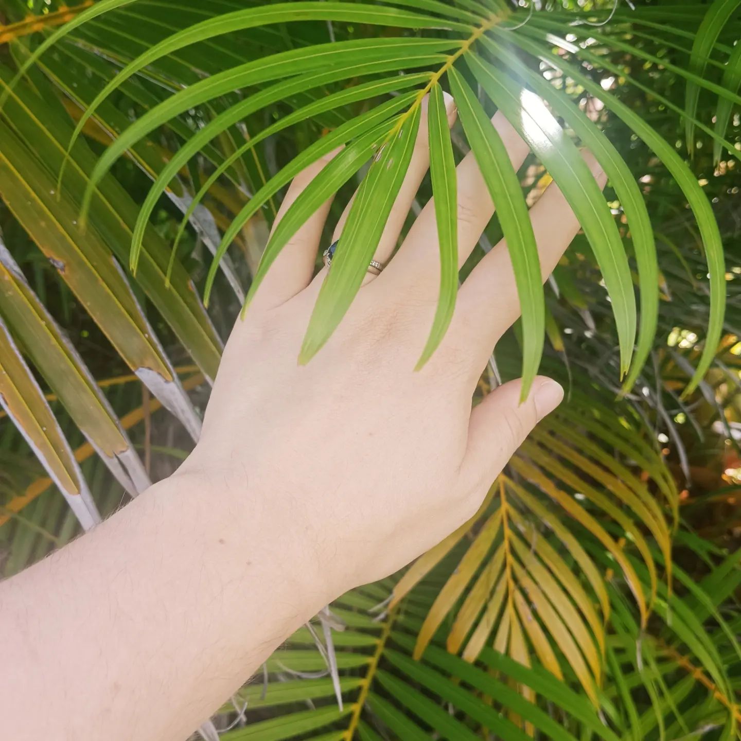 My Dyspraxia Diagnosis