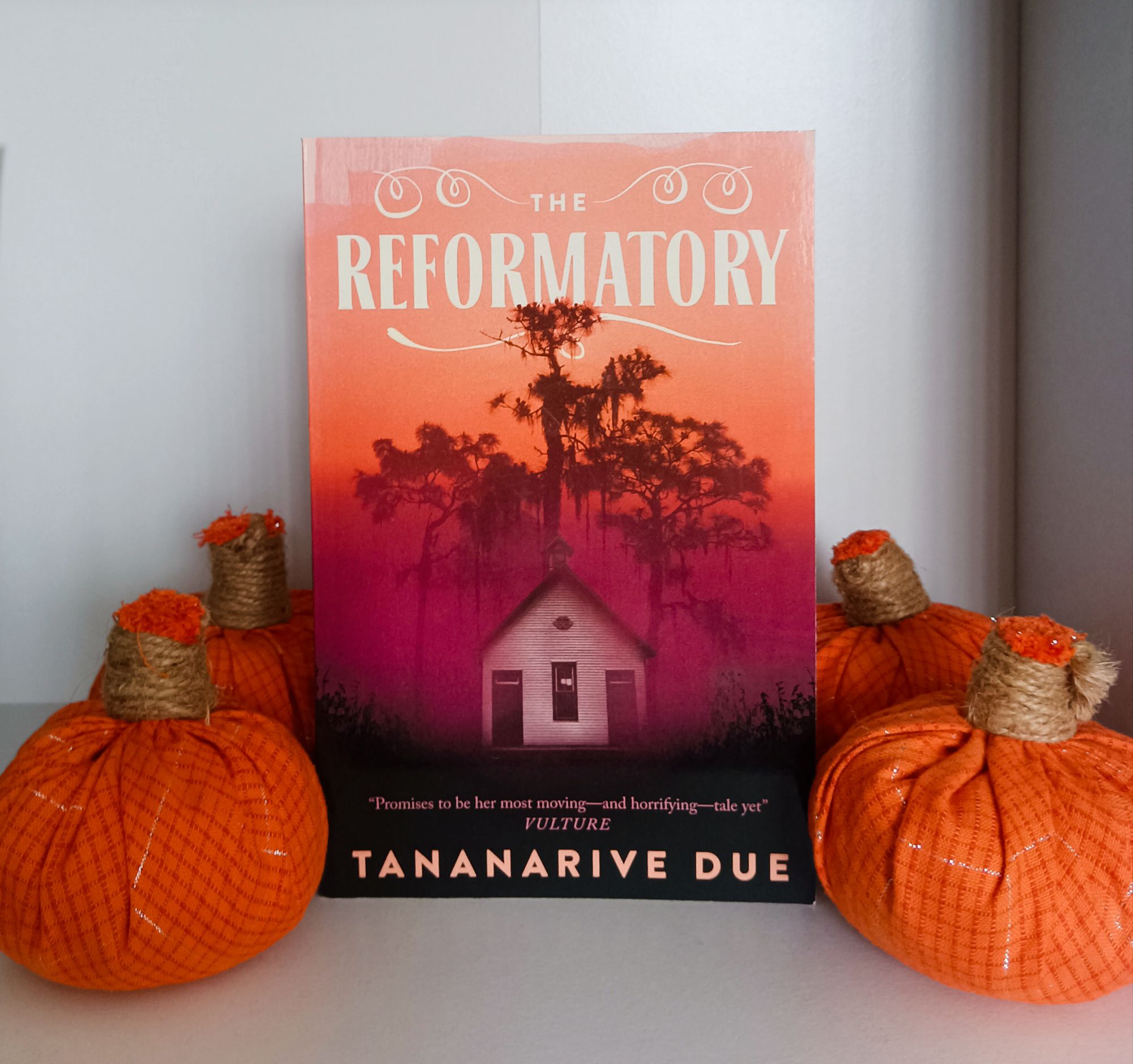 The Reformatory by Tananarive Due – The You’ll Read Too Bookclub: MAY 2024