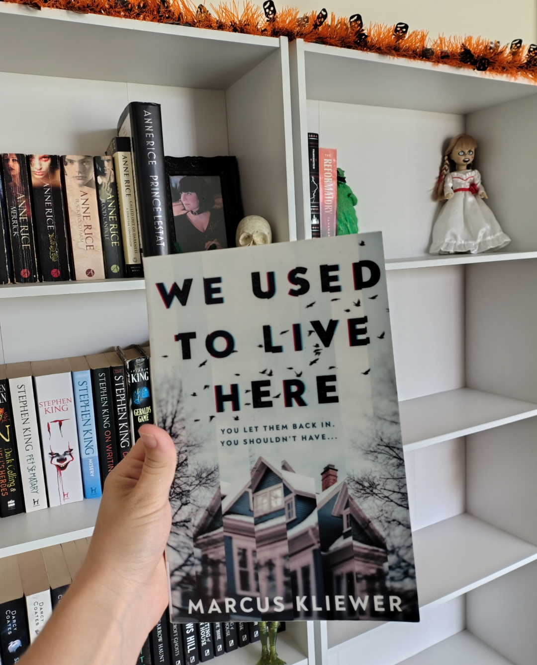 We Used To Live Here by Marcus Kliewer – The You’ll Read Too Bookclub: NOVEMBER 2024