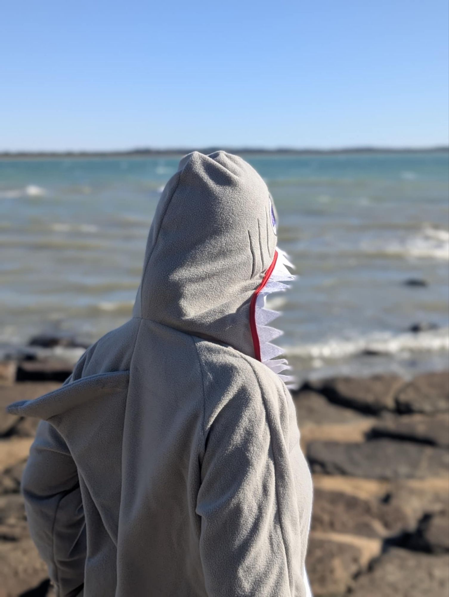 My 5 Favourite Shark Horror Movies!