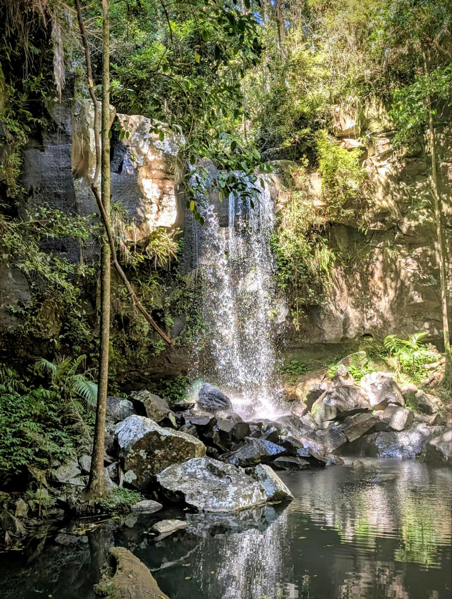 Tamborine Mountain Getaway – Photo Diary