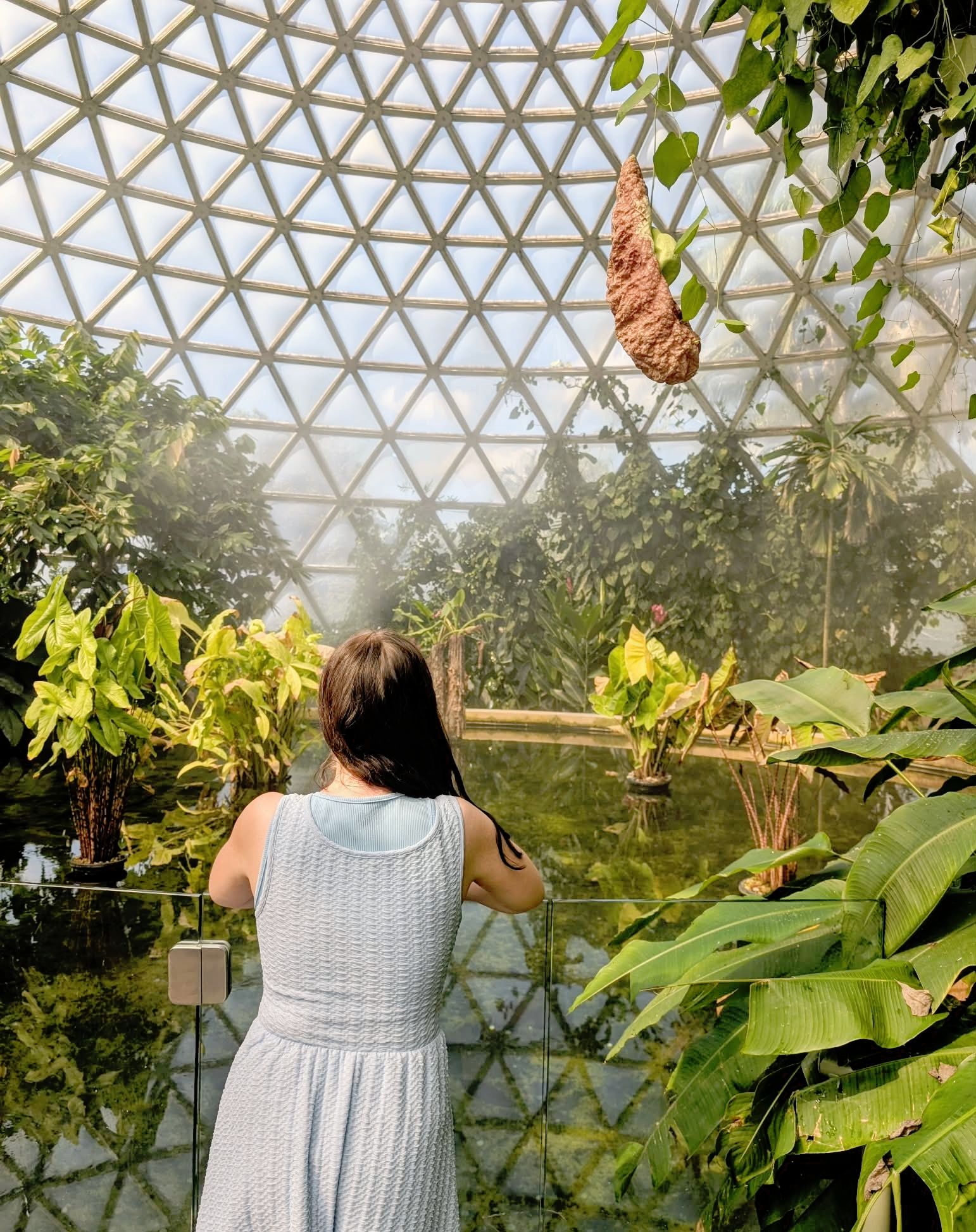 Why Cancel Culture Should Be Cancelled